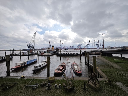 De ultra-groothoekcamera slaagt erin zonder sterk vervormde randen.