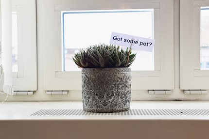 Ich brauche klare Ansagen, was meine Pflanzen wollen. Wobei diese etwas zweideutig ist ...