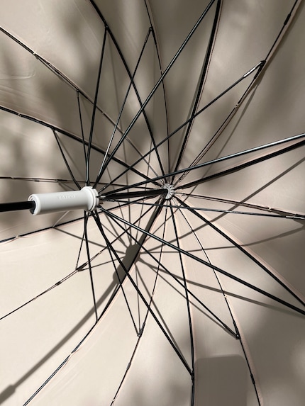 Les baleines sont robustes.