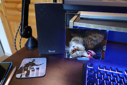 Sous-tasse et photo de chat : deux choses qui ne quitteront jamais mon bureau.