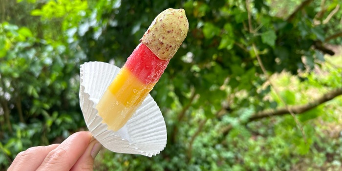 Anne Fischer Anne Fischer