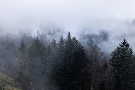 Atmosphère mystique le matin à Maria-Rickenbach.
