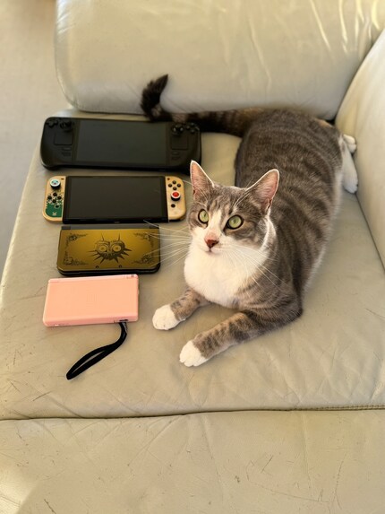 Une comparaison de taille entre Nintendo DS Lite, Nintendo 3DS XL, Switch et Steam Deck montre les différences entre les appareils. Comme étalon, une longueur de chat.