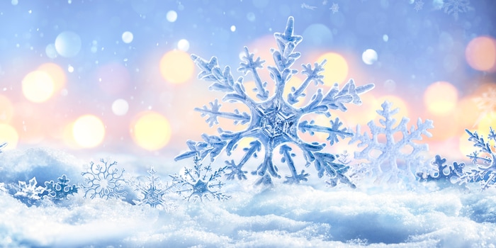 Shutterstock Shutterstock