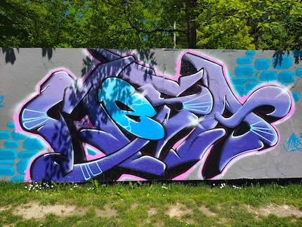 Voici d’abord la photo prise avec l’appareil photo principal. Plutôt réussie, à part les couleurs un peu criardes.