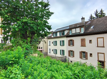 Photo en mode optimisé...