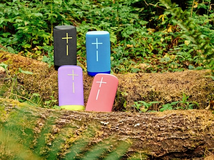 L'Everboom è disponibile in quattro colori.