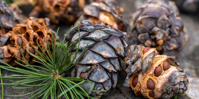 shutterstock shutterstock