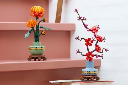 Entrambe le nuove piante di Lego sono adatte a decorare la tua casa.