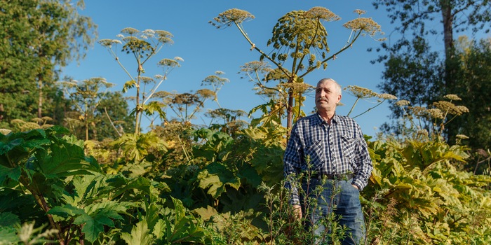 Shutterstock/digitaliens