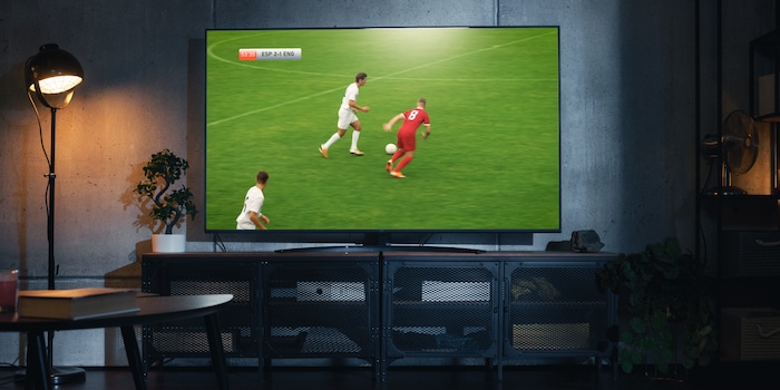 Shutterstock Shutterstock