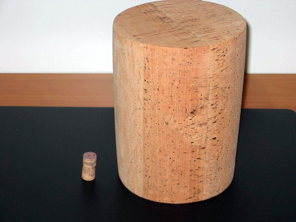 Gigantischer Korken. Also der rechte natürlich. Links ist der Korken einer Standard-0,75-Liter-Weinflasche zu sehen.