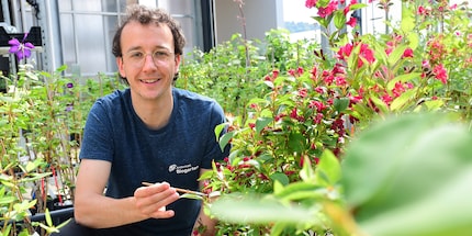 Silvan Bosshard con in mano il suo insetto utile preferito: la coccinella di Adalia.