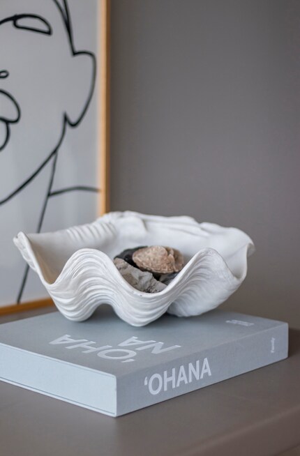 Shells embody natural beauty, elegance and a sense of calm.