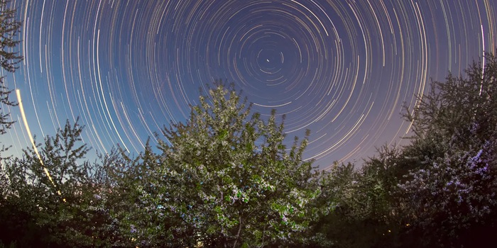 © Michael Luy (dettaglio) Tutto sembra ruotare intorno ad essa: la Stella Polare nella costellazione dell'Orsa Minore indica il polo celeste settentrionale. © Michael Luy (dettaglio) Tutto sembra ruotare intorno ad essa: la Stella Polare nella costellazione dell'Orsa Minore indica il polo celeste settentrionale.