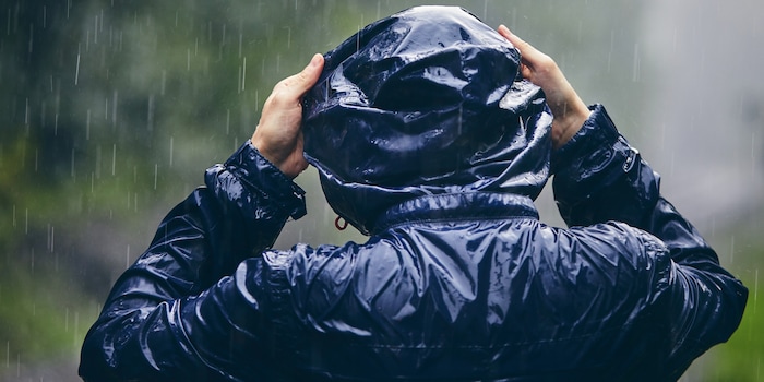 Shutterstock Shutterstock