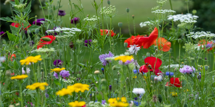 Mina-Marie Michell/Shutterstock Mina-Marie Michell/Shutterstock