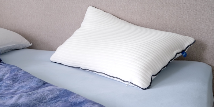 Martin Jungfer Martin Jungfer