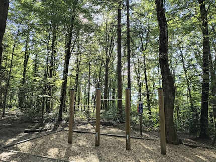 The Edge 50 Neo gets a lot out of this difficult backlight situation.