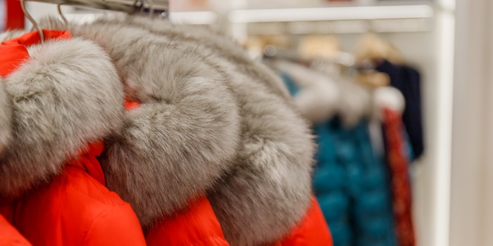 Shutterstock/nnattalli