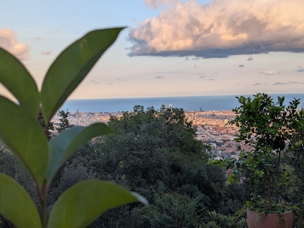Even at dusk, the Pixel 9 Pro Fold captures the mood well. And the bokeh’s good, too.