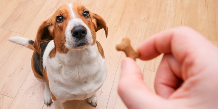 Shutterstock/Fire-n Shutterstock/Fire-n