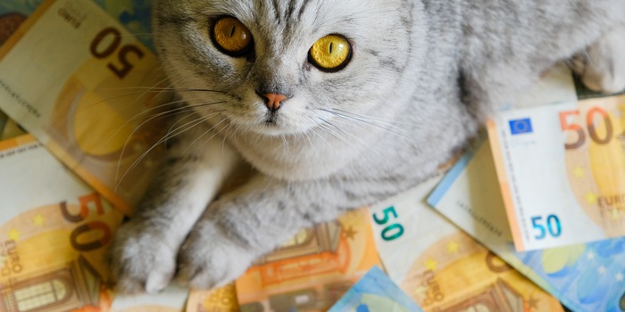 Shutterstock/Sandris Veveris