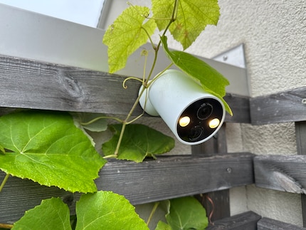 Chez moi, la deuxième caméra Tapo surveille le jardin ; le camouflage sous les feuilles de vigne est encore perfectible.