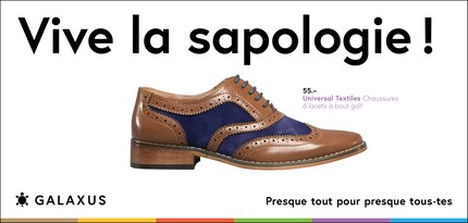 Français (République démocratique du Congo)