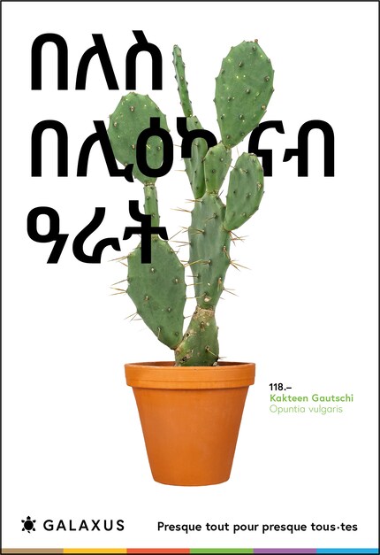 Tigrinya (Erythrée)