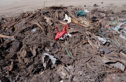 So sieht die Komposterde in Kompostierungsanlagen teilweise aus.