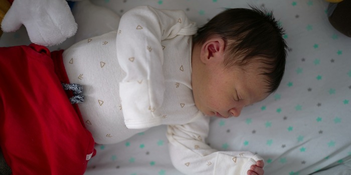 Shutterstock / Bricolage Shutterstock / Bricolage