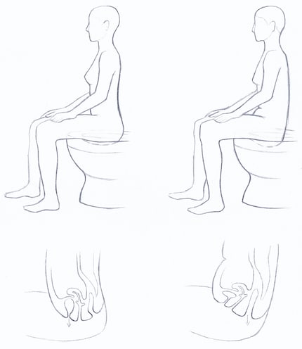 Left: the optimal position for urinating. Right: the optimal position for emptying your bowels.