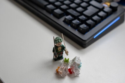 Zoro isn’t impressed by the switches either.