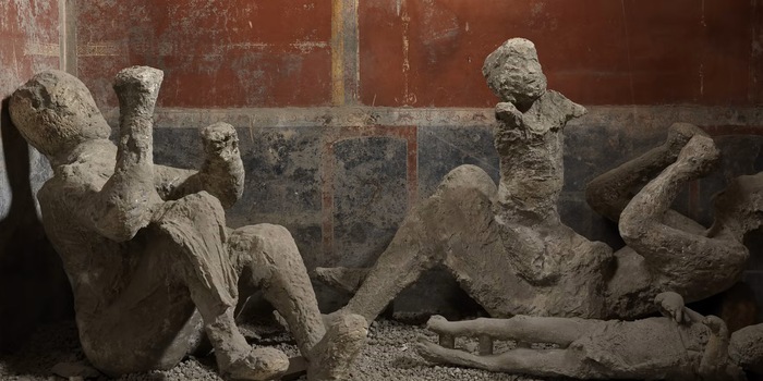 © Parc archéologique de Pompéi ; photo de presse de Pilli, E. et al. : Ancient DNA challenges prevailing interpretations of the Pompeii plaster casts. Current Biology, 2024 (extrait)