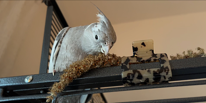 Anika Schulz feat. Rio Anika Schulz feat. Rio