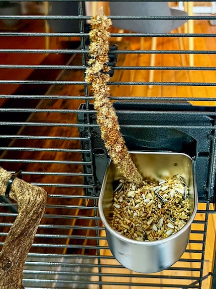 Insgesamt haben meine Nymphies zwei Futternäpfe im Käfig. Damit es keinen Streit gibt.