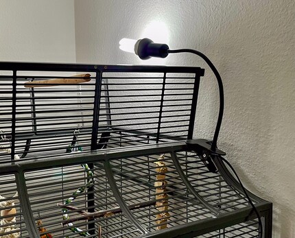 Meine Birdlamp ist «Marke Eigenbau», da sich der Käfig oben öffnen lässt und ich eine flexible Lösung brauche. Die meisten herkömmlichen Vogellampen werden fest auf dem Käfigdach verschraubt.