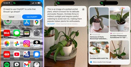 VI reconnaît les plantes, donne des conseils sur leur entretien et m’indique où je peux les acheter.