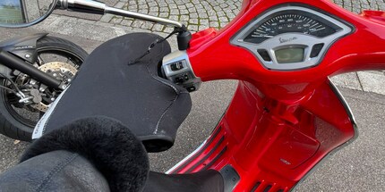 Oops! I accidentally pressed the horn.