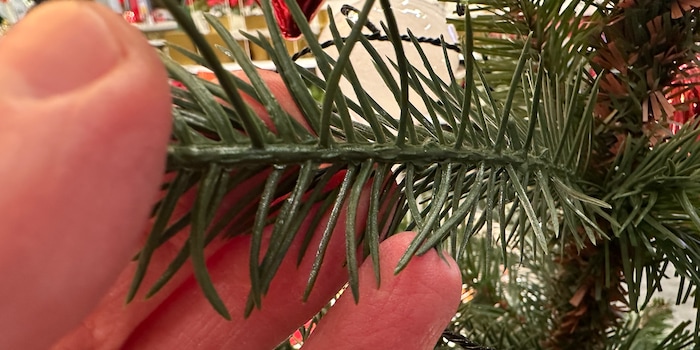 Martin Jungfer Martin Jungfer