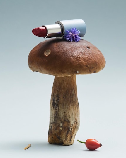 Une des images du shooting Ingredient de Sophia : l'acide hyaluronique qui entre dans la composition de ce rouge à lèvres est extrait de champignons.
