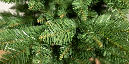 Beim RS-Trade-Baum wurde der PVC-Nadel-Streifen nicht einfach nur abgehackt, er hat auch noch eine Spitze bekommen. Sieht gleich viel besser aus.