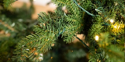 STT fährt eine Doppelstrategie: Sowohl Spritzguss- als auch Flitterfolien-Zweige sind am Baum.