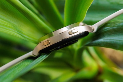 Les deux boutons du cadre.