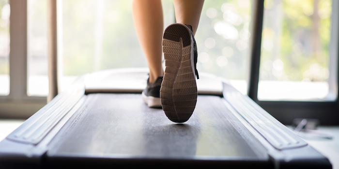 Shutterstock / Thanakorn.P Shutterstock / Thanakorn.P