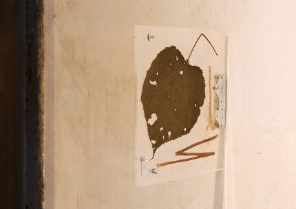 Ein echtes Statement: Diese Hängung bringt eine unerwartete Dynamik ins Spiel. Gesehen bei: N.A.S.A.L.