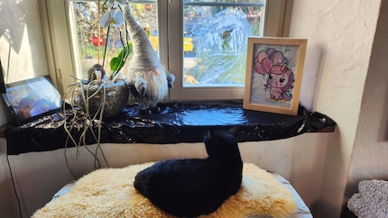 Until I find a wall to hang it on, the frame looks great.