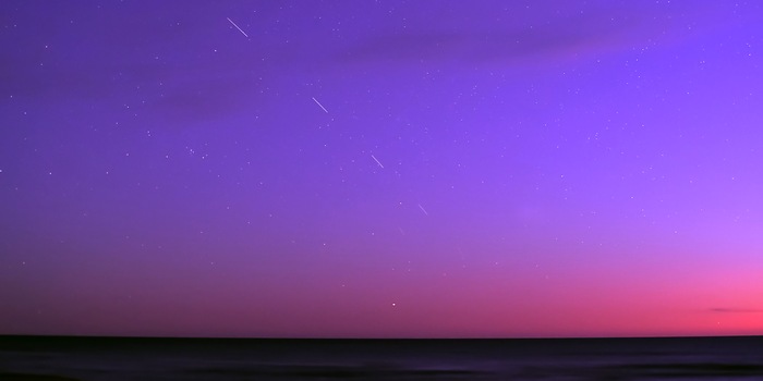 Shutterstock Shutterstock