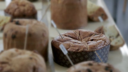 Wegen eingefallen durchgefallen: der «Sélection»-Panettone von der Migros.